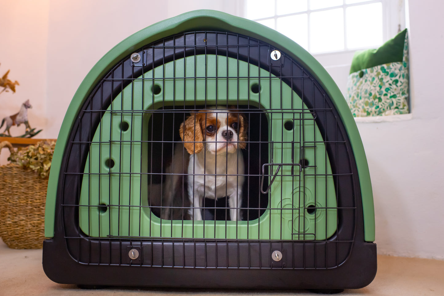 Puppy Pod | Replicated Den Environment for Calmer Puppies