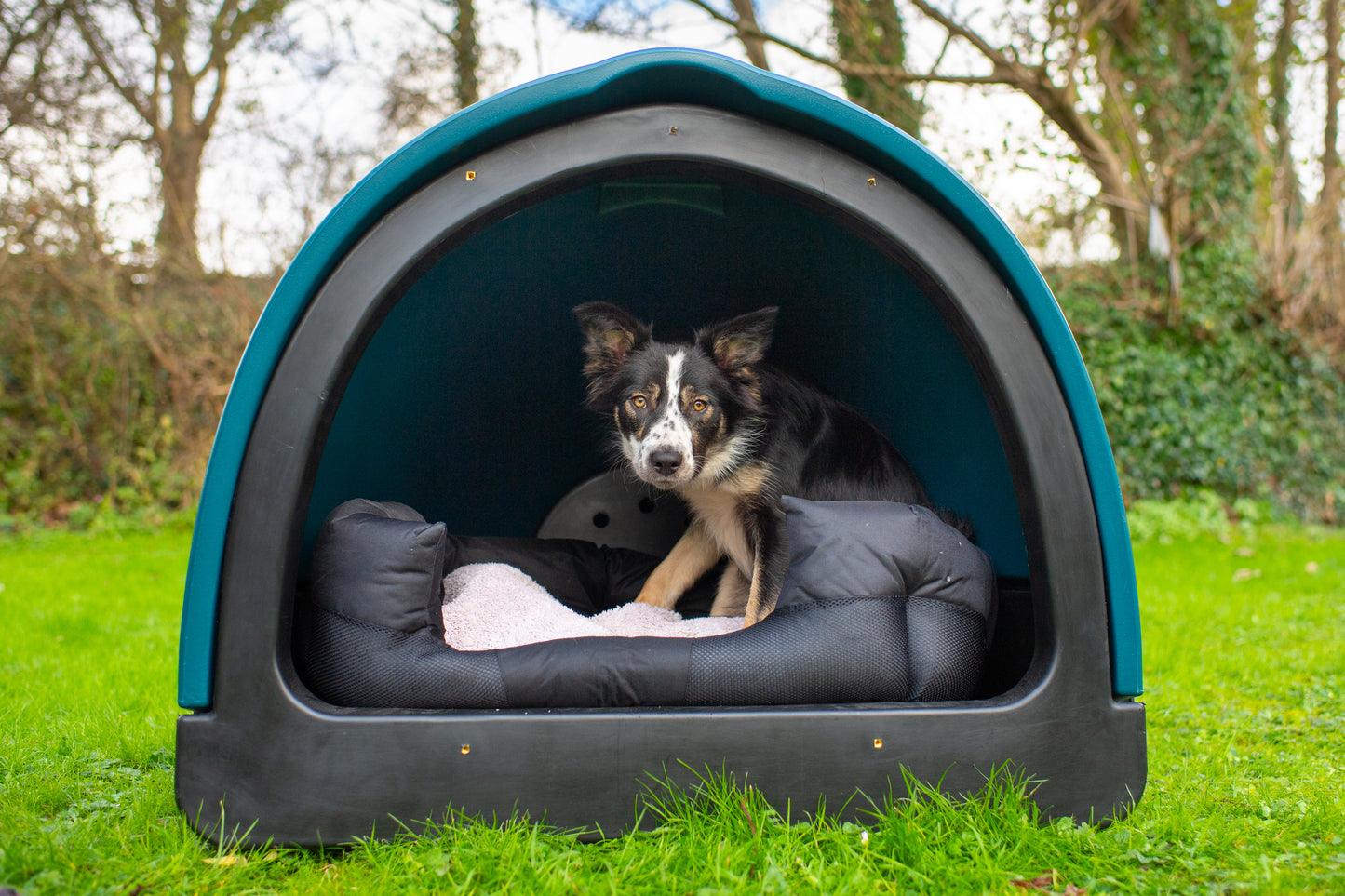 Dog Pod | Replicated Den Environment for Calmer Dogs