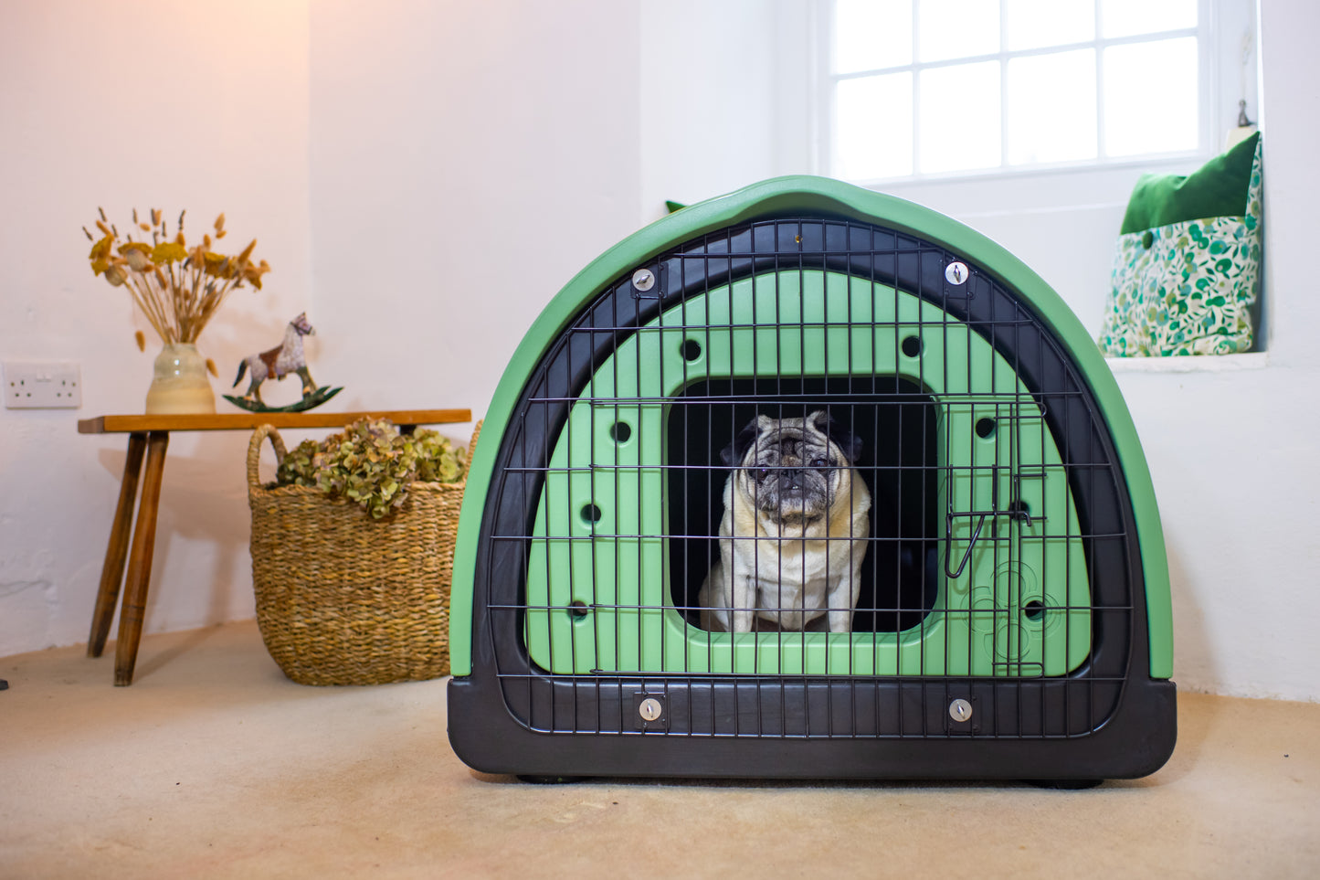 Puppy Pod | Replicated Den Environment for Calmer Puppies