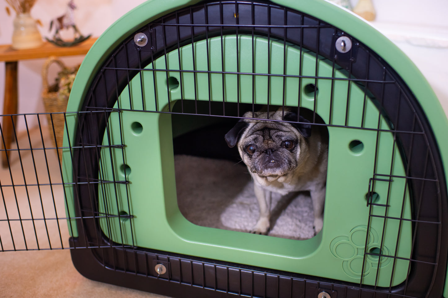 Puppy Pod | Replicated Den Environment for Calmer Puppies