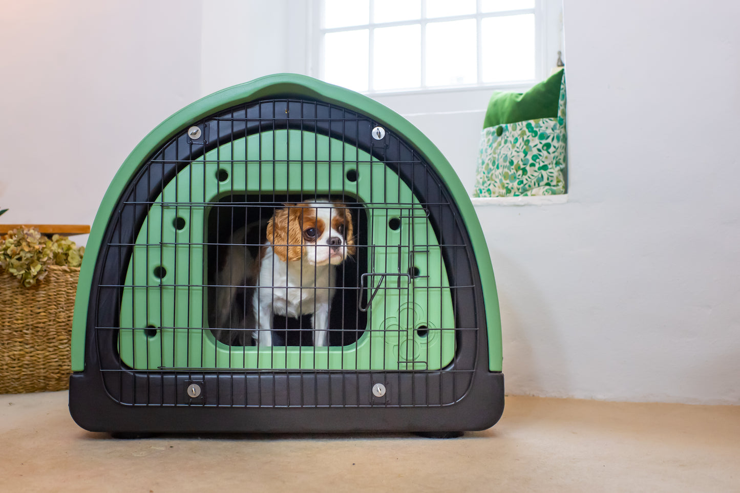 Puppy Pod | Replicated Den Environment for Calmer Puppies