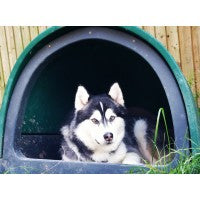 Dog Pod | Replicated Den Environment for Calmer Dogs