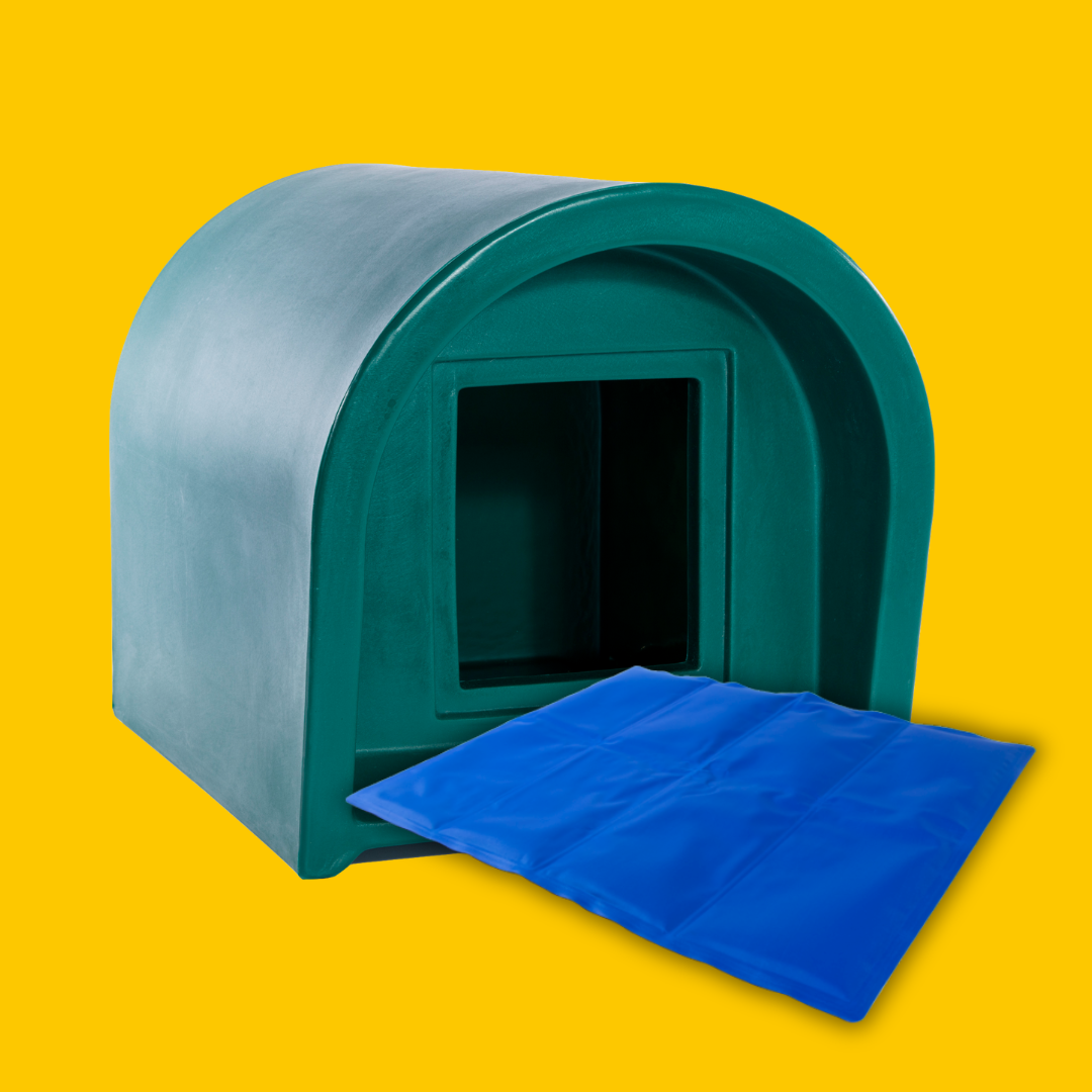 green kitty cabin with cooling mat