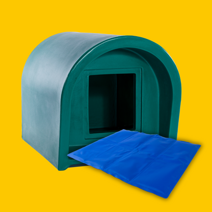 green kitty cabin with cooling mat