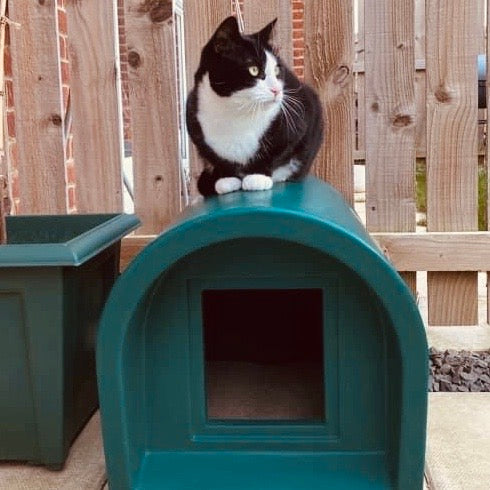 Mr snugs shop outdoor cat kennel