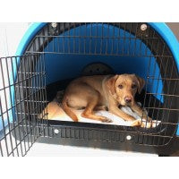 Puppy Pod | Replicated Den Environment for Calmer Puppies