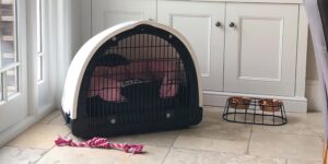 Puppy Pod | Replicated Den Environment for Calmer Puppies